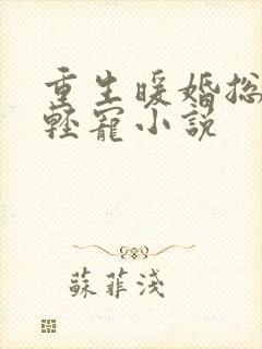 重生暖婚总裁轻轻宠小说