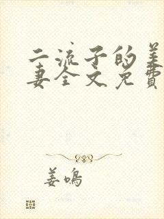 二流子的美貌娇妻全文免费阅读