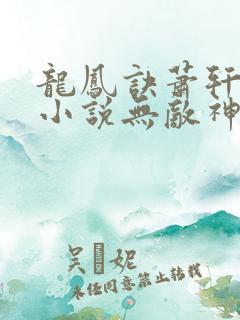 龙凤诀萧轩夏萍小说无敌神医免