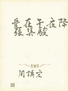 爱在午夜降临前 张集骏