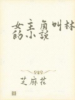 女主角叫林雪瑶的小说