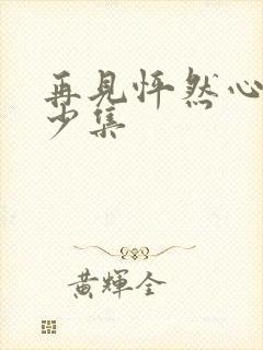 再见怦然心动多少集