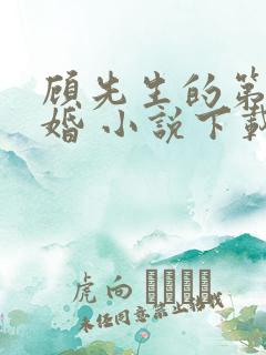 顾先生的第一宠婚 小说下载txt