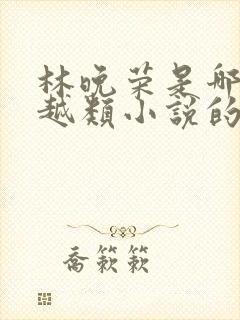 林晚荣是哪部穿越类小说的主人公