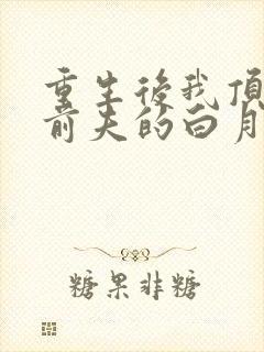 重生后我顶替了前夫的白月光简介