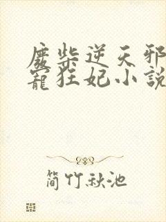 废柴逆天邪王霸宠狂妃小说免费阅读