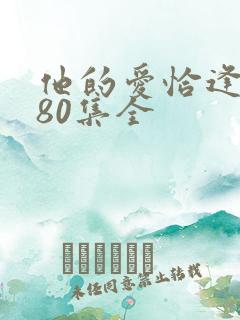 他的爱恰逢其时80集全