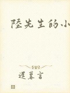 陆先生的小甜妻