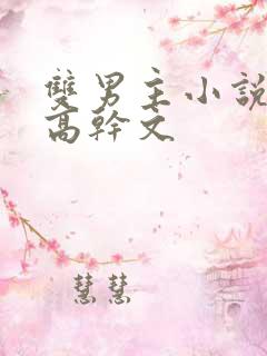 双男主小说推荐高干文