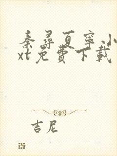 秦寻夏宁小说txt免费下载