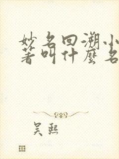 妙名回溯小说原著叫什么名字