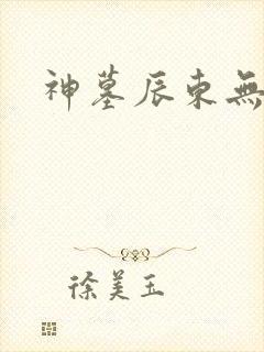 神墓辰东无弹窗