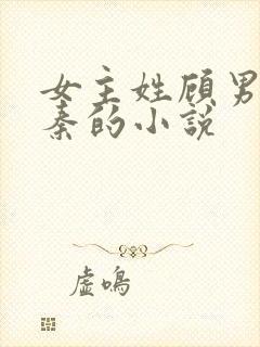 女主姓顾男主姓秦的小说