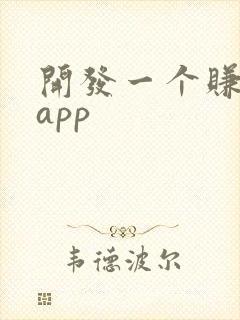 开发一个赚钱的app