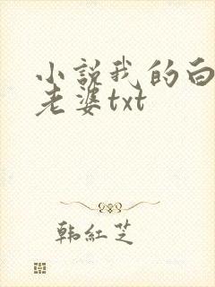 小说我的白富美老婆txt