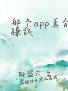 哪个app真能赚钱