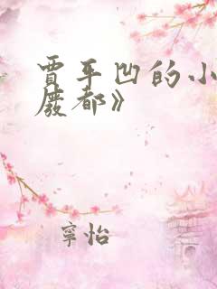 贾平凹的小说《废都》