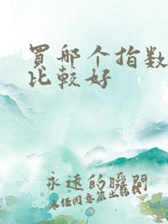 买哪个指数基金比较好