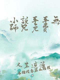 小说平平无奇大师兄免费