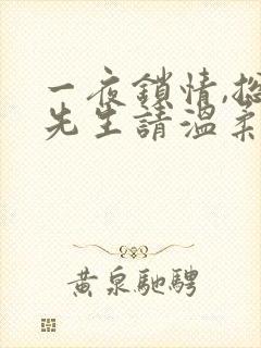 一夜锁情,总裁先生请温柔 锦上添香
