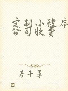 定制小程序开发公司收费