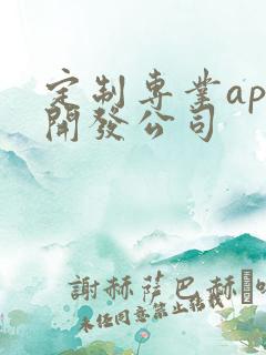 定制专业app开发公司