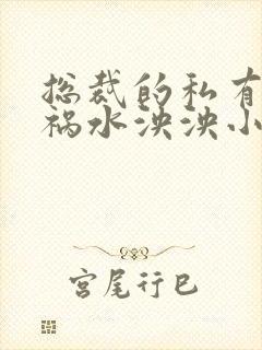 总裁的私有宝贝祸水泱泱小说免费阅读