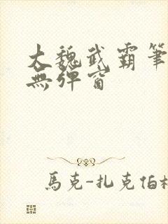 大魏武霸笔趣阁无弹窗