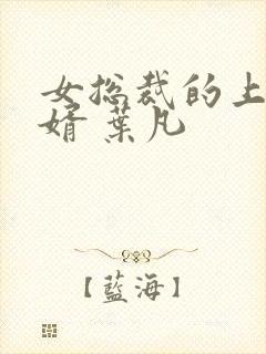 女总裁的上门女婿 叶凡