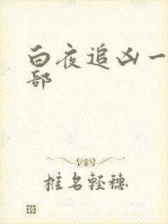 白夜追凶一共几部