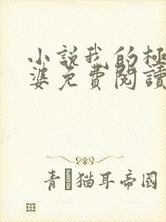 小说我的极品老婆免费阅读全文
