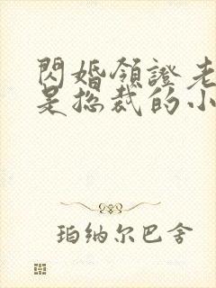 闪婚领证老公竟是总裁的小说