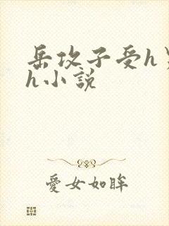 岳攻子受h男男h小说