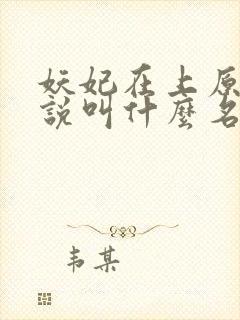 妖妃在上原著小说叫什么名字