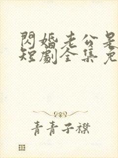 闪婚老公是总裁短剧全集免费看