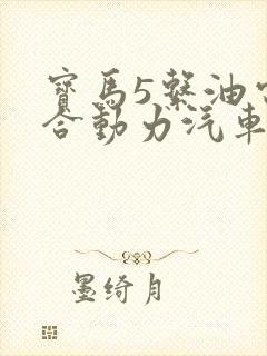 宝马5系油电混合动力汽车新款
