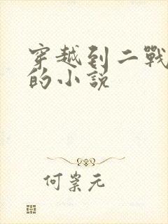 穿越到二战德国的小说