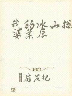 我的冰山总裁老婆叶辰