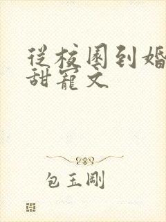 从校园到婚姻的甜宠文