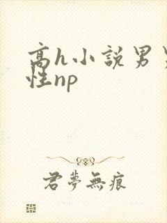 高h小说男男双性np