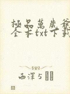 极品万岁爷小说全本txt下载