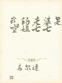 我的老婆是一名空姐七七