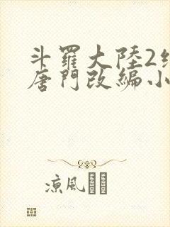 斗罗大陆2绝世唐门改编小说