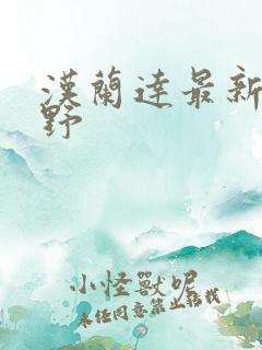 汉兰达最新款越野