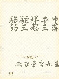骆驼祥子中祥子的三起三落思维导图
