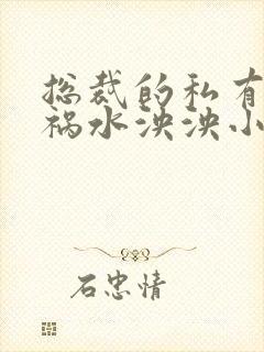 总裁的私有宝贝祸水泱泱小说免费阅读