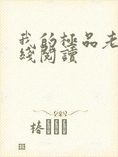 我的极品老婆在线阅读