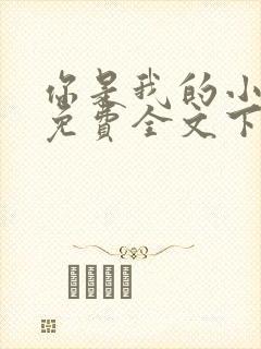 你是我的小确幸免费全文下载