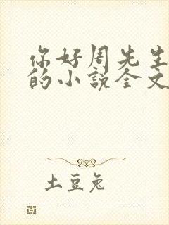 你好周先生夜蔓的小说全文免费阅读
