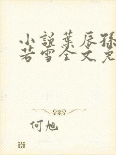 小说叶辰孙怡夏若雪全文免费阅读